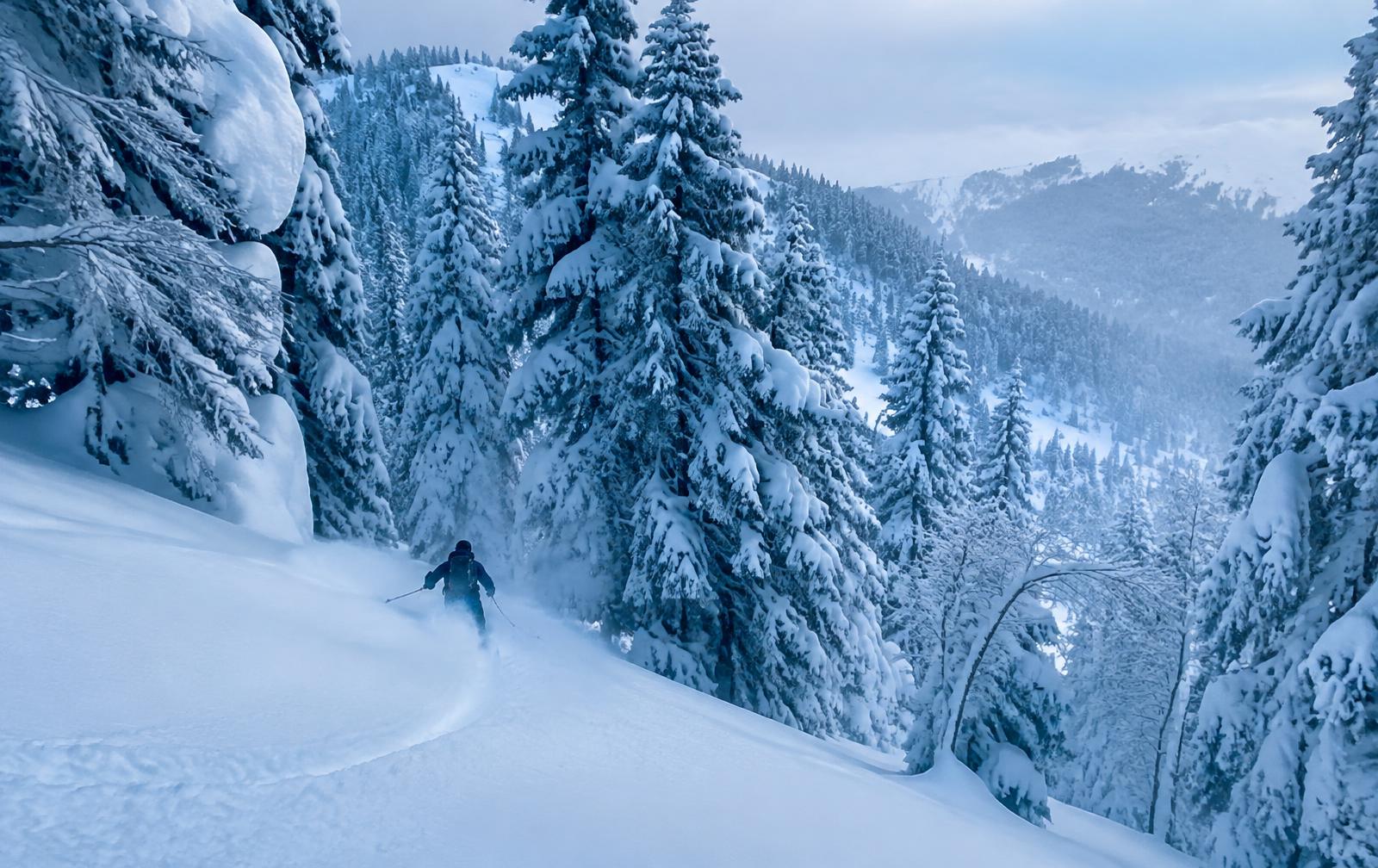 Winter Is Why You Come.